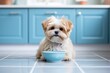 A small dog with a bowl in a kitchen.