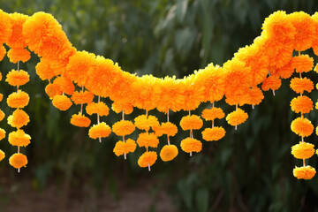 Wall Mural - Marigold Flower toran for Diwali Festival