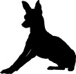 Dog Prague Ratter silhouette Breeds Bundle Dogs on the move. Dogs in different poses.
The dog jumps, the dog runs. The dog is sitting. The dog is lying down. The dog is playing
