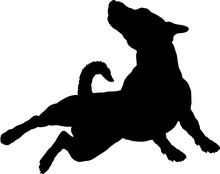 Dog  Jack Russell Terrier Jumping Silhouette Breeds Bundle Dogs On The Move. Dogs In Different Poses.
The Dog Jumps, The Dog Runs. The Dog Is Sitting. The Dog Is Lying Down. The Dog Is Playing
