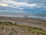Fototapeta  - Holandia, widok na Morze Północne z miejscowości Petten aan Zee.