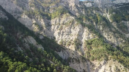 Wall Mural - Aerial panoramic view of forest on rocky mountain slope - Ai Petri, Yalta, Crimea. Abstract aerial nature forest and mountains. Weather and Climate Change. Vacation, travel and holiday concept