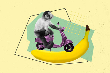 Poster - Composite collage image of funny monkey riding scooter delivery banana fruit shopping jungle freak bizarre unusual fantasy billboard