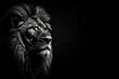 A shot of a lion in shades of gray in dark fur on a black background