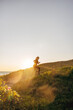 © Maskot - Side view of mature woman jogging on hill against sky at sunset