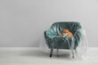 Cute ginger cat resting in armchair covered with plastic film near light grey wall indoors, space for text