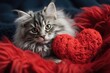 A red knitted heart in the paws of a cat