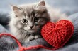 A red knitted heart in the paws of a cat