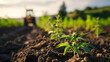 Grünes Gold: Cannabis Anbau Plantage auf einer Farm - KI Generiert