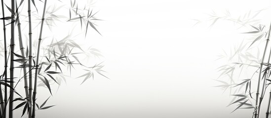 Wall Mural - blurred bamboo shadow on white background.