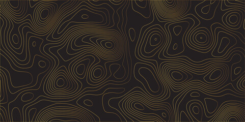 Abstract black golden gradient Topographic line map pattern background. Contour elevation topographic and textured Background Modern design with black background with topographic wavy patte.