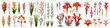 Crocosmia Hyperrealistic Highly Detailed Isolated On Transparent Background Png File