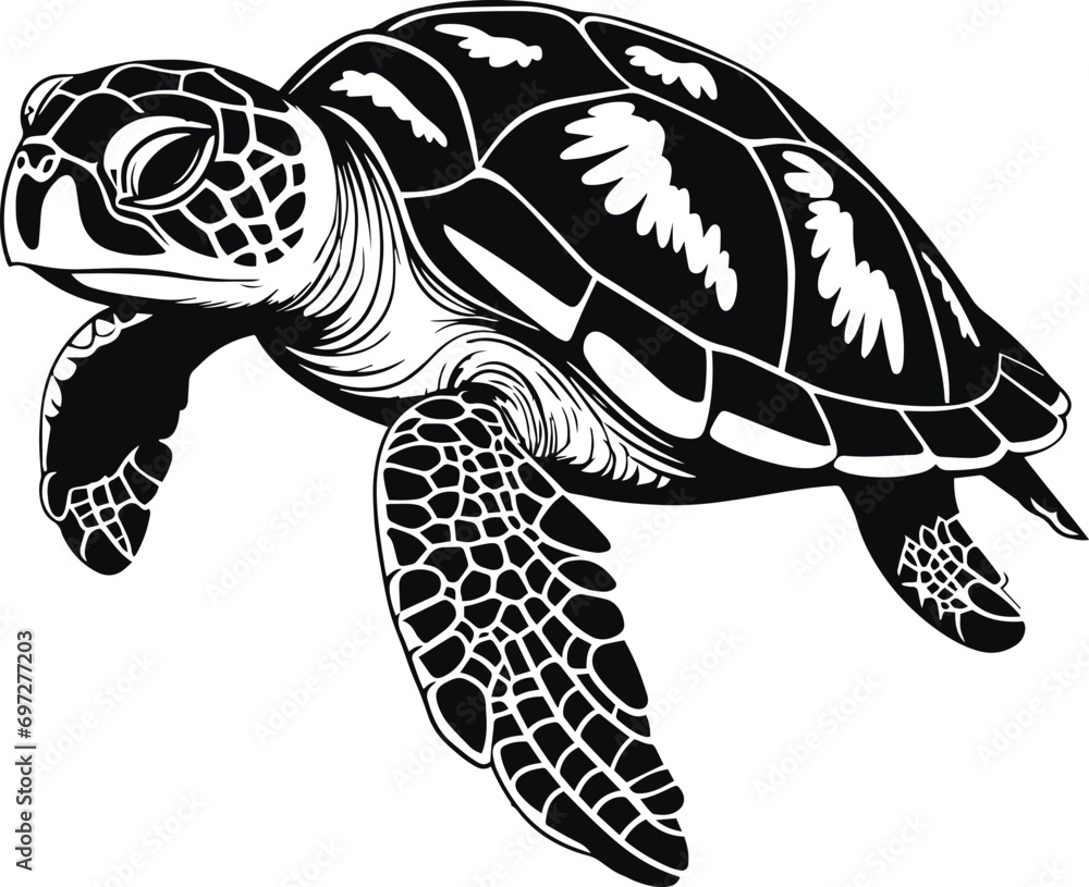 Vector turtle silhouette of a isolated on a white background, Vector ...