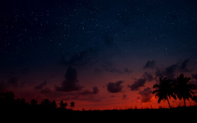 Wall Mural - sky with stars