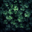 Green shamrock clover leaves natural background green St. Patrick's day