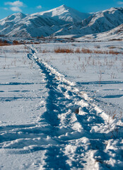 Wall Mural - Snow path in the mountains in winter