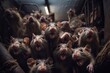 © Oleh - Lot rats in the basement on a dark background, close-up