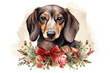 Cute dog canine brown animal dachshund background purebred breed puppy mammal pet adorable