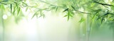 Fototapeta Sypialnia - Green bamboo leaves with a blur effect, can be used as posters, advertising media, presentations and others. generative AI