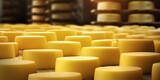Fototapeta  - the process of making parmesan cheese in a factory. piles of expensive parmesan cheese in a cheese factory. generative AI