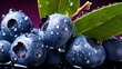 Closeup of fresh delicious fruit of blueberries with water drops and green leaves isolated on purple background