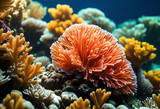 Fototapeta Do akwarium - coral underwater in minimal style