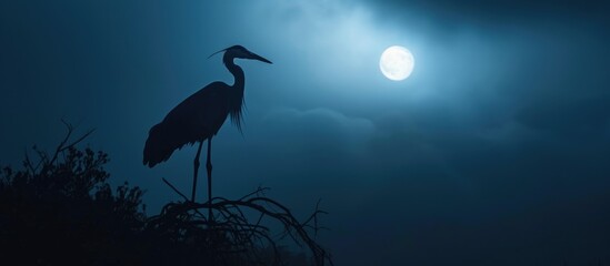 Wall Mural - Crane against moonlit night backdrop.