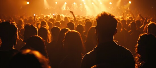 Wall Mural - Concert lighting from the audience.