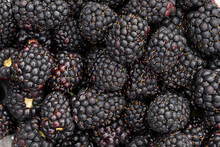 Closeup Of Fresh And Ripe Blackberries 