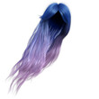 A 3d rendered illustration of long dye hair 