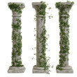 A 3d rendered illustration of ancient pillars with ivy on them as overlays 