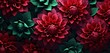 Vibrant tropical floral pattern background with crimson dahlias and hunter green foliage on a 3D slate wall