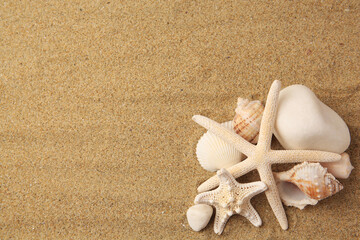 Wall Mural - Beautiful sea stars, shells and stones on sand, flat lay. Space for text