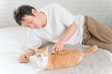 Canvas Print - 換毛期に家のベッドで猫のブラッシング・毛玉取りをする飼い主の男性
