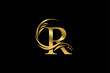 Gold letter R logo design with beautiful leaf, flower and feather ornaments. initial letter R. monogram R flourish. suitable for logos for boutiques, businesses, companies, beauty, offices, spas, etc
