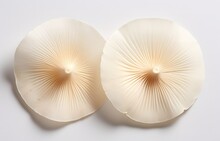 Two Cut Mushrooms In A Close-up Photo On A White Background. Generative AI