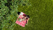Female friends eating pizza on summer picnic in park, relaxing on grass and having fun, aerial drone view from above
