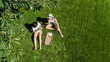 © Iuliia Sokolovska - Female friends eating pizza on summer picnic in park, relaxing on grass and having fun, aerial drone view from above