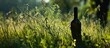 Wine bottle silhouette etched in grass
