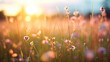 summer field flowers with beautiful bokeh effect and golden sunlight created with Generative AI Technology