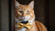  a close up of a cat wearing a yellow bow tie and looking at the camera with a serious look on his face, with a wooden wall in the background.