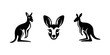 Kangaroo illustration, logo. Vector icon drawing on white background