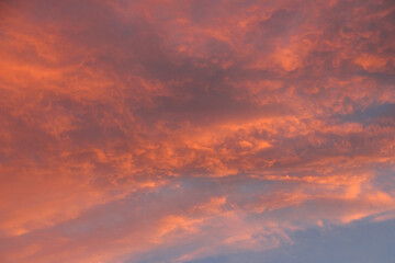 Photo of blue sky with pink clouds at sunset in winter