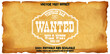© Martin - Editable text effect - American Wanted Vintage style template. Premium Vector