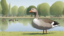 A Duck Standing On A Grassy Field