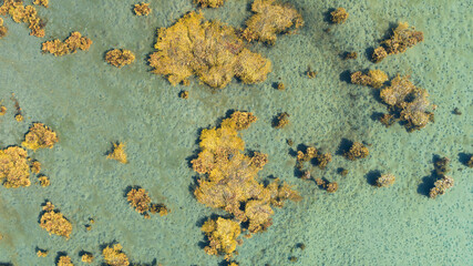 Wall Mural - tropical aerial of island in sea. vacation concept.