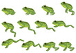 © designer_things - Frog jumping animation icon set. Sequences or footage for motion design. Cartoon toad jumping, animal movement concept. Animated process of frogs leaps sequence,  illustration