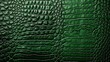 Close up green real alive crocodile skin texture, top view