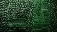 Close Up Green Real Alive Crocodile Skin Texture, Top View