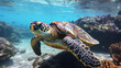 photo of Sea turtle in the Galapagos island. Generative AI